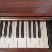 پیانوی دیجیتال|پیانو، کیبورد، آکاردئون|مشهد, رضاشهر|دیوار