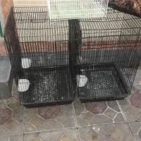 قفس کاسکو پرنده|لوازم جانبی حیوانات|آذرشهر, |دیوار