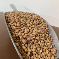 پخش حبوبات و ادویه جات