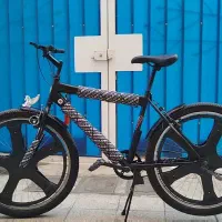 دوچرخه دوماوند اساک اسپرت