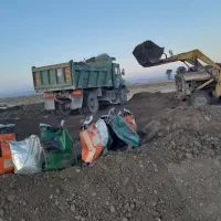 کود فرآوری شده دامی