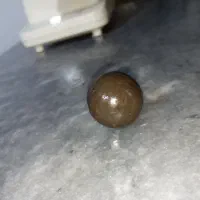 دورودانگو|کلکسیون اشیاء عتیقه|تنکمان, |دیوار