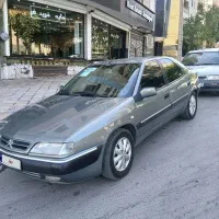 زانتیا ۸۴ زیتونی