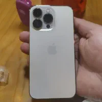 13pro
