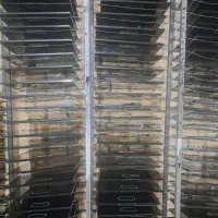 استخدام نیروی کار ساده خانم و آقا