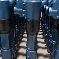 پیکور بادی (دژبر)