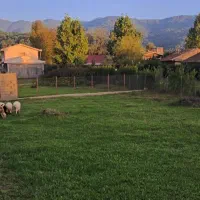 زمین مسکونی سی دشت رشی ۴۰۰ متر|فروش زمین و ملک کلنگی|بره‌سر, |دیوار