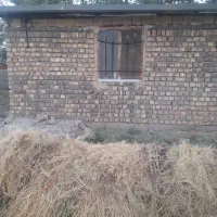 زمین زراعی باغی|فروش زمین و ملک کلنگی|قنوات, |دیوار