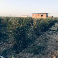 فروش باغ با موقعیت عالی