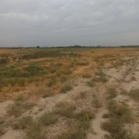 زمین کشاورزی|فروش زمین و ملک کلنگی|جوادآباد, |دیوار