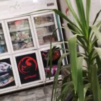 قطعه کار مرغ