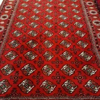 فرش|فرش|گنبد کاووس, |دیوار