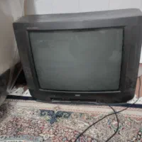تلویزیون