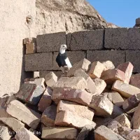 مجسمه طوقی|مجسمه، تندیس، ماکت|زابل, |دیوار