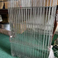 پارک سگ ۸ تیکه