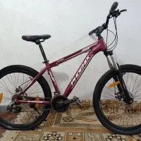 دوچرخه مدل فونیکس