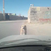 آموزش سقف شیروانی