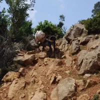 الاغ ارام باری|حیوانات مزرعه|رحیمآباد, |دیوار