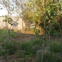 باغ ۵۷۰متری/با سوئیت ۵۰متری/با سند و مجوز و پروانه|فروش زمین و ملک کلنگی|زرگرشهر, |دیوار