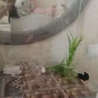 شیشه ی آکواریوم