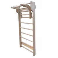 نردبان سوئدی با پارالل و بارفیکس متحرک