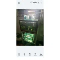 آکواریوم با تمام وسایل