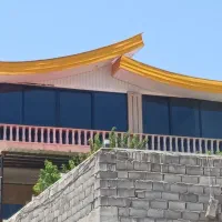 نیروی خدماتی اقا هستم