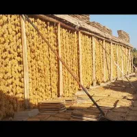 کارگر خانوم برای کار در برانداز کاری و زرنگ
