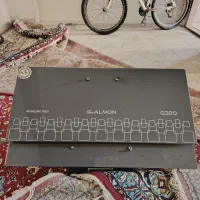 هود لمسی آلمون