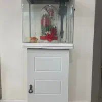 اکواریوم شرکتی