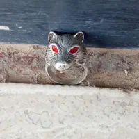 انگشتر گرگ