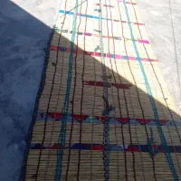 چیخ و چادر