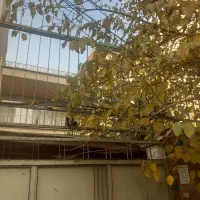 سهروردی-شمالی-خانه-210متری-بر7دوطبقه-بنا-شمالی