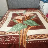 تشک|تشک تختخواب|قم, باغ شریفی|دیوار