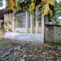 فروش ویلای ۴۰۰ متری در چمازکتی|فروش خانه و ویلا|قائم‌شهر, |دیوار