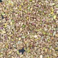 فروش خرید مغز دستگاهی دستشکن|خوردنی و آشامیدنی|زرند, |دیوار