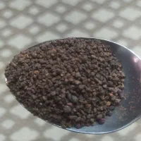 چای کله مورچه هندی|خوردنی و آشامیدنی|قم, شاه ابراهیم|دیوار