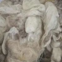 پشم گوسفند بی نظیر