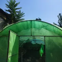 گلخانه (تجهیزات به صورت کلی و تعدادی گل)