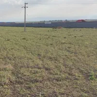 ۶ هکتار زمین قطعه بندی شده سند شش دانگ