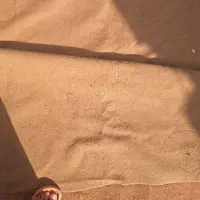 موکت ۲۰ متر|موکت|گالیکش, |دیوار