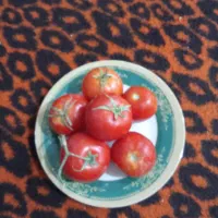 چهار سبد گوجه درجه یک طبیعی قیمت مناسب