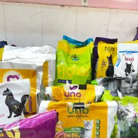 غذای اصلی سگ و گربه