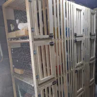 جفت کن دوازده تایی