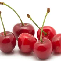 چیدن میوه و اجاره باغ