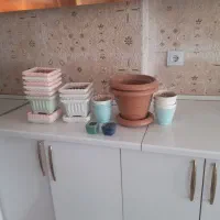 ۲۲ عدد گلدان درحدنو