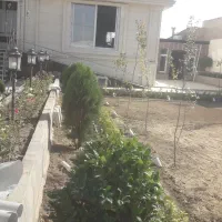 طراحی اجرا|خدمات باغبانی و درختکاری|هشتگرد, هشتگرد قدیم|دیوار