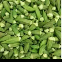 بانیه حمیدیه کوت سید نعیم