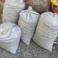 گردو پوست کاغذی روغنی تویسرکان(تازه)|خوردنی و آشامیدنی|کرج, شهرک نهال و بذر|دیوار