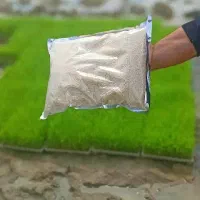 برنج هاشمی درجه یک وکیوم